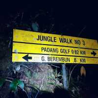 Trekking for RAFFLESIA