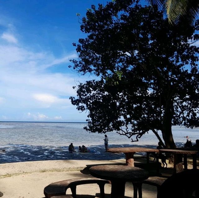 it's tanning BM Beach ⛱ Puerto Princesa City 