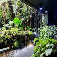 The Secret Garden at Cloud Forest