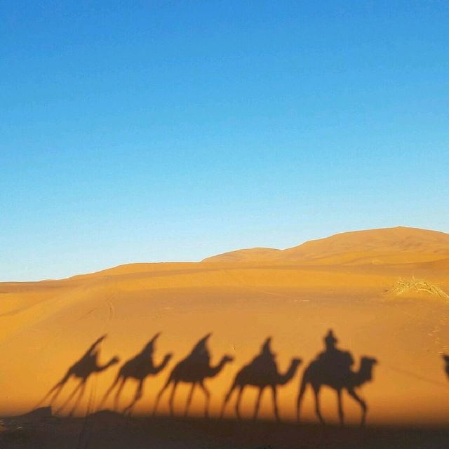 Moroccan Active Adventures. 