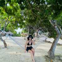 bohol tour for solo traveler