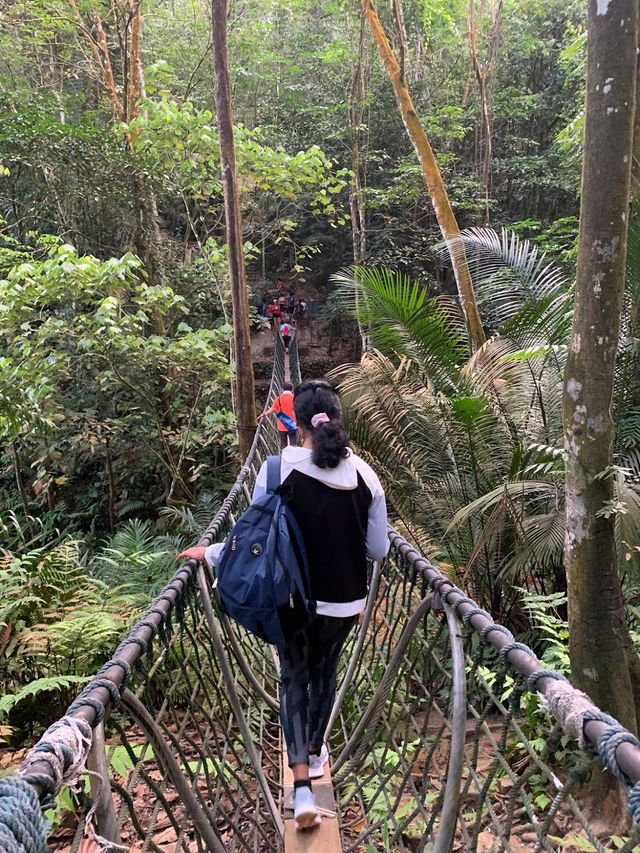 Bukit Gasing Hiking Trail 👣✨