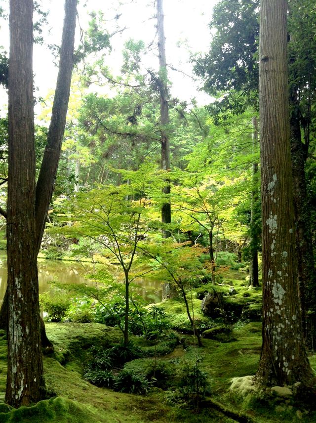 Saihoji Temple——Japan Kyoto