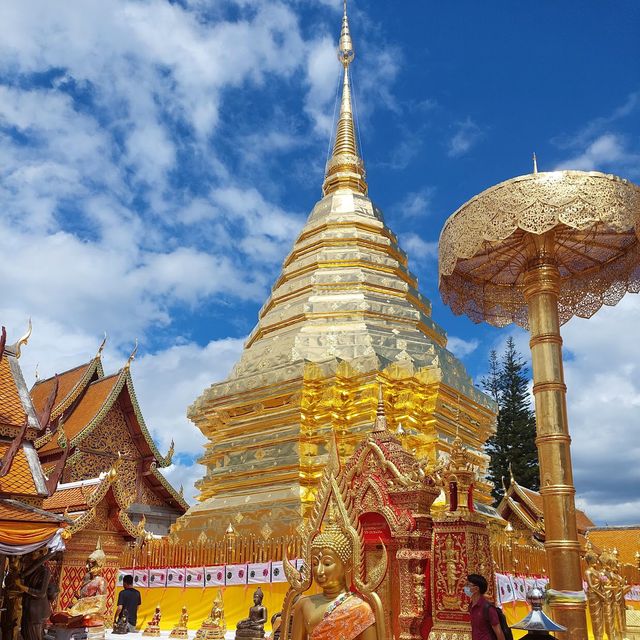 Wat Phra That 