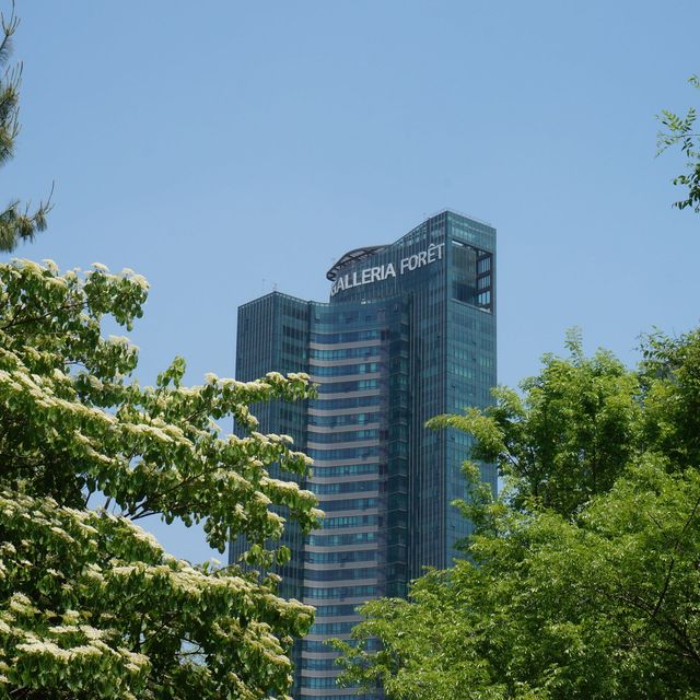 계절마다 다른 느낌의 도심 속 숲, 서울숲🌳