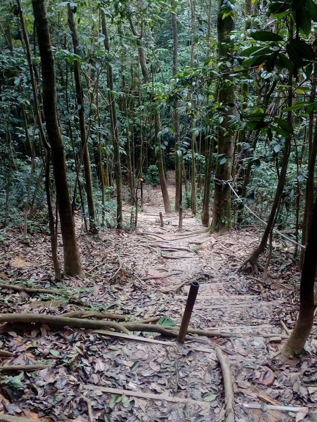 Taman Rimba Bukit Kerinchi 👀🍃