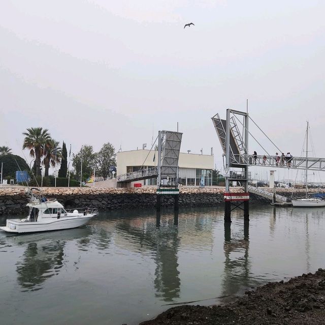 Lagos boat trip