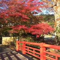 ~ Shuzenji in Autumn 