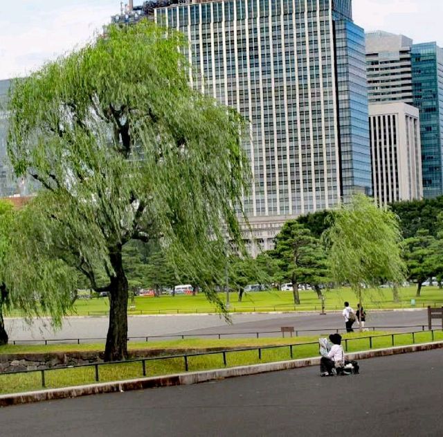 Edo Castle Ruins & Imperial Palace @Tokyo