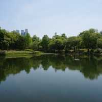 계절마다 다른 느낌의 도심 속 숲, 서울숲🌳