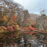 輕井澤 雲場池 紅葉尾季🍁