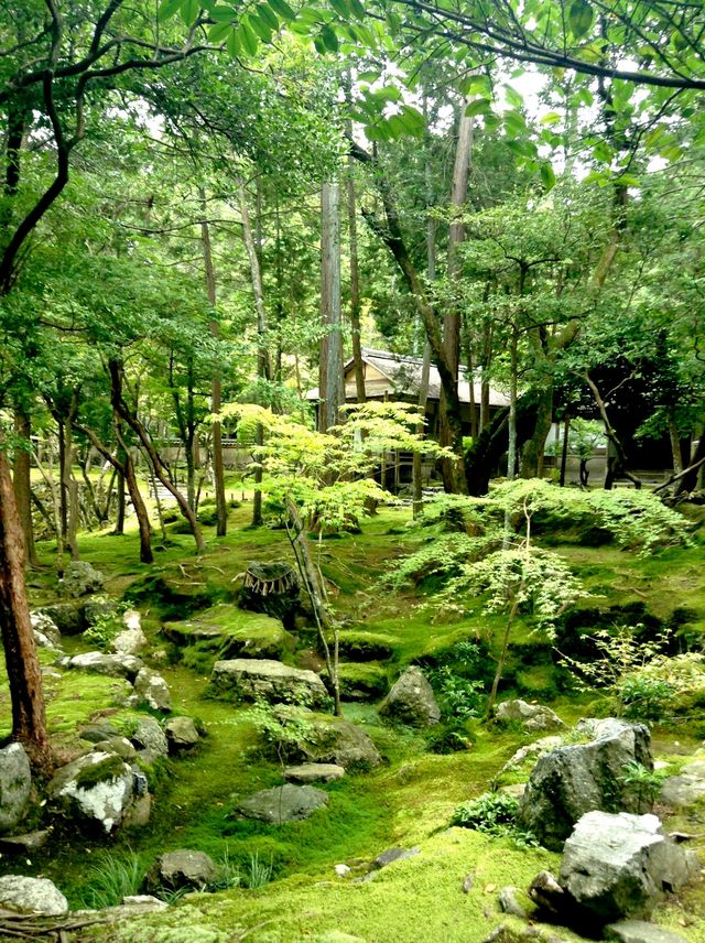 Saihoji Temple——Japan Kyoto