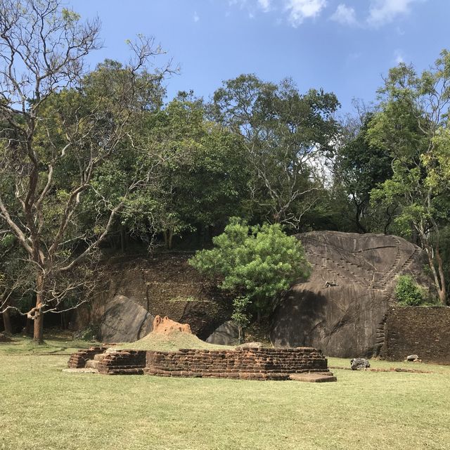 sigiriya Rock Lion roxxx me