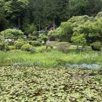 【木曽義仲・巴御前のお墓】ふたりの絆