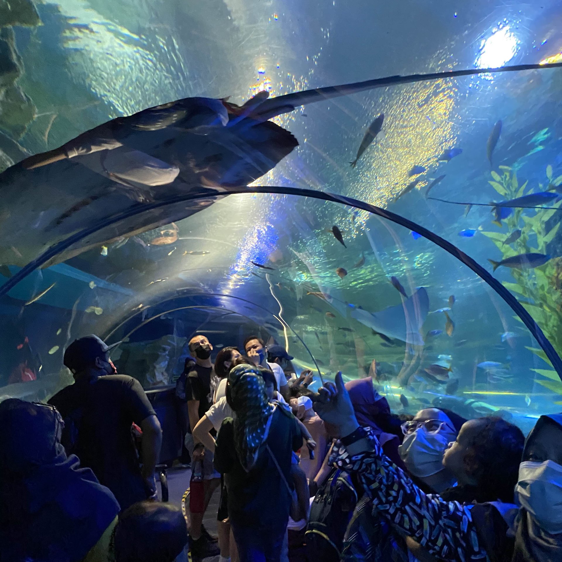 The Best Activities To Do in KL At Aquaria KLCC