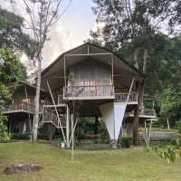 Glamping with Style at Tiarasa