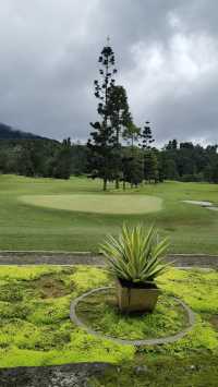 Jinmalun Plateau enjoys coolness and greenery.