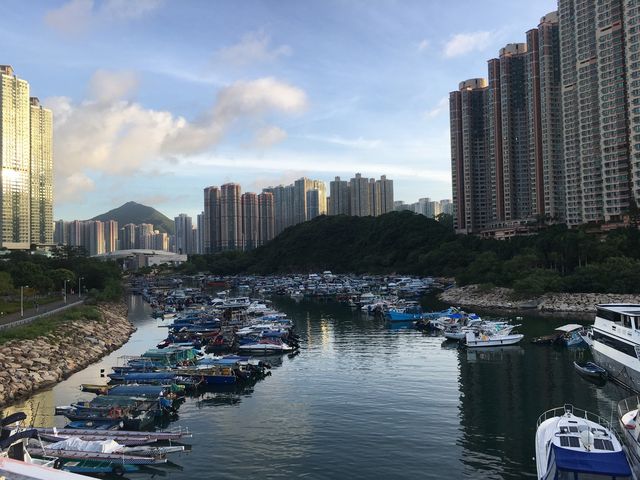 Stroll along  Tseung Kwan O Promenade 🤩🤩