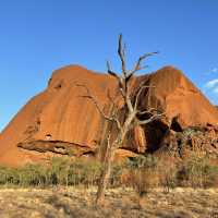 Uluru Sunrise Segway tour 