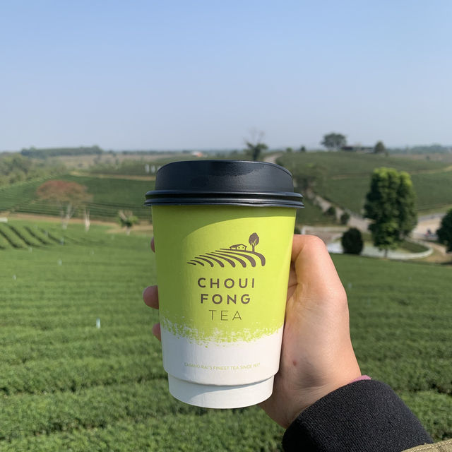 MATCHA-Made in Choui Fong