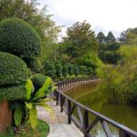  Tropical Rainforest Lake Park