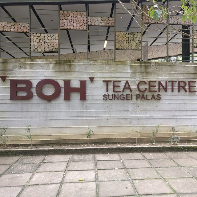 Boh Tea Centre