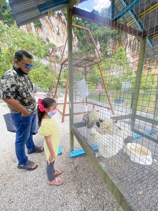 Pavillion Petting Zoo - Kids Haven ❤️ 