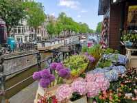 Canals of Amsterdam 