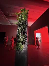 Australia # Queensland Art Gallery and Gallery of Modern Art