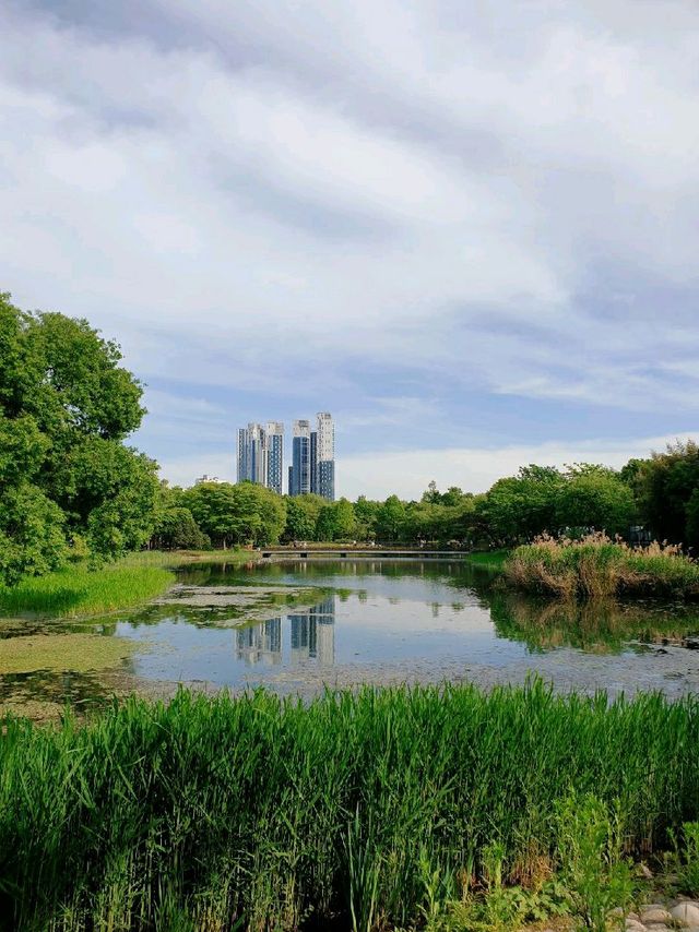 도심 속에서 자연을 느낄 수 있는 곳, 서울숲 🌳