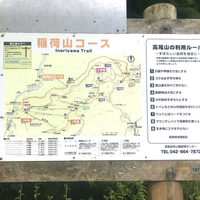 高尾山・稲荷コースは初心者にもおすすめ