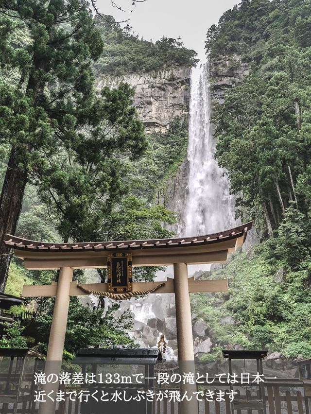 落差日本一 那智の滝