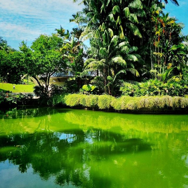 Symphony Lake & Heliconia Walk