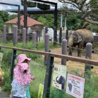 #全新園區 #騎馬體驗🐎 #沖繩兒童王國