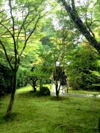 Saihoji Temple——Japan Kyoto