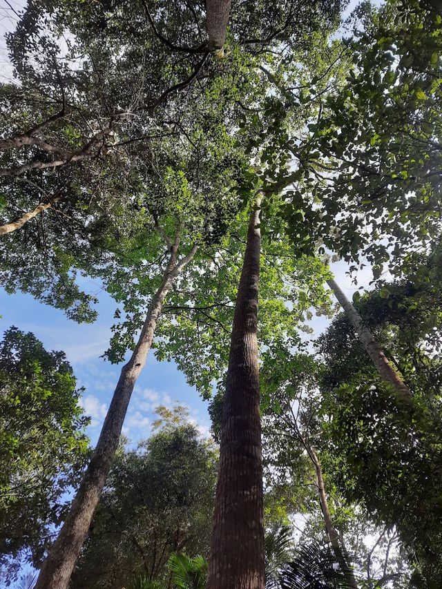 Bukit Saga via taman saga 😎👣