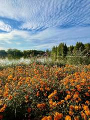 Beijing International Flower Port