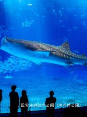 沖繩美麗海水族館