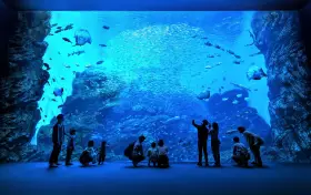 仙台うみの杜水族館