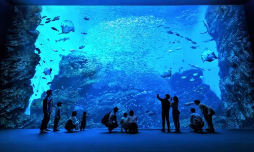 仙台海洋森林水族館