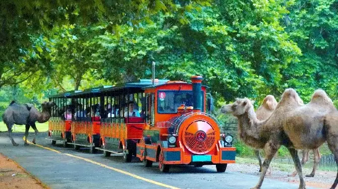 4_Hangzhou Safari Park