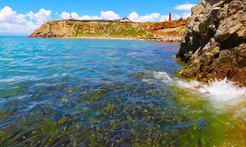 Qinghai Lake The Holy Spring Bay (Cliff)