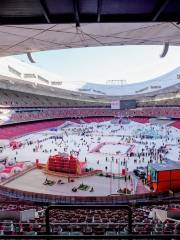 The Bird's Nest Ice and Snow Festival