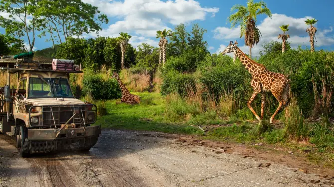 5_Disney's Animal Kingdom Theme Park