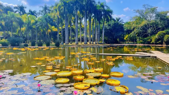 4_Xishuangbanna Tropical Botanical Garden, Chinese Academy of Sciences