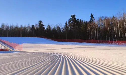 長白山紅松王雪場