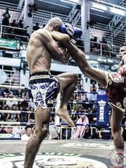 Muay Thai Shows in Phuket