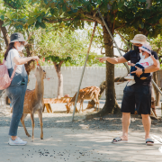 公園／樂園