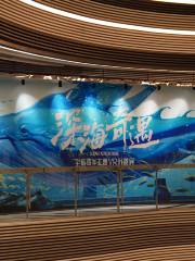 《深海奇遇》全新海洋主題VR沉浸展