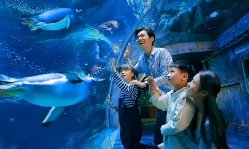 Zhengzhou Aquarium